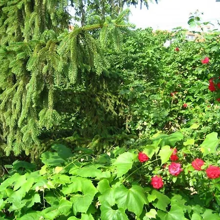 Bulgary Village بيت ضيافة *